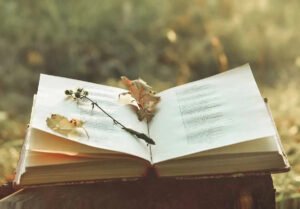 Poetry Inspiration: Finding Your Muse in Everyday Life